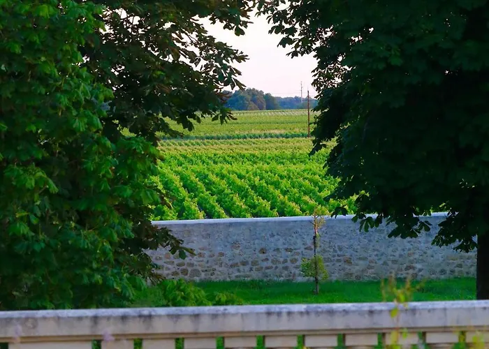 Bed and Breakfast La Chartreuse De Dauzac 3*