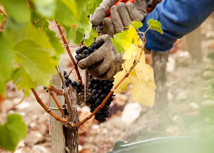 La Chartreuse De Dauzac 3* Labarde