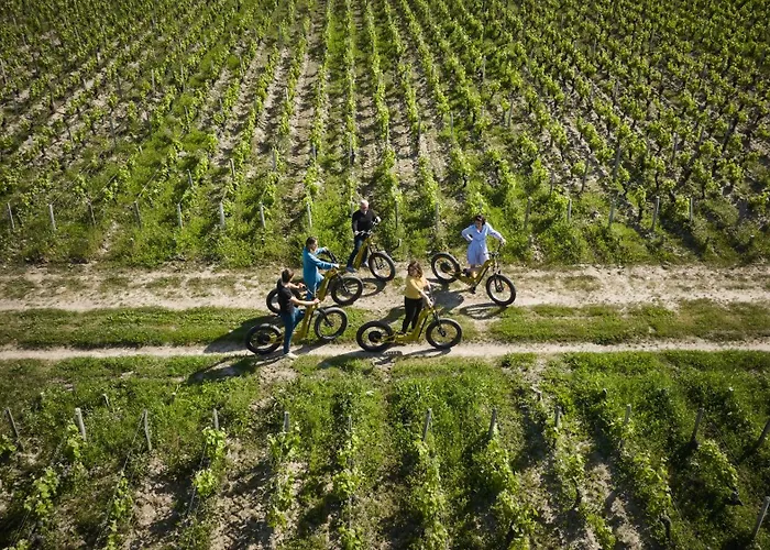 Bed and Breakfast La Chartreuse De Dauzac Labarde